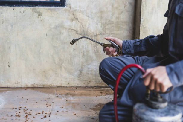 Best Best Pest Control Near Me  in Centreville, MS